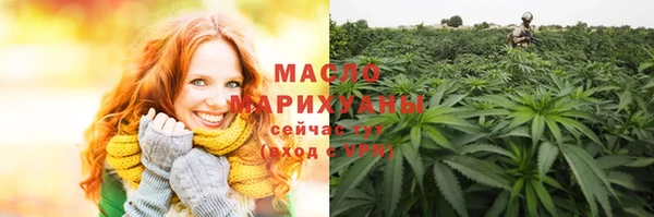 сатива Вяземский
