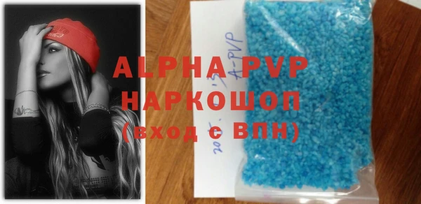 сатива Вяземский