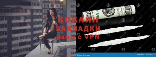 сатива Вяземский