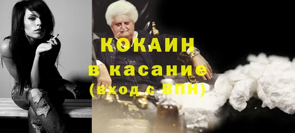 сатива Вяземский