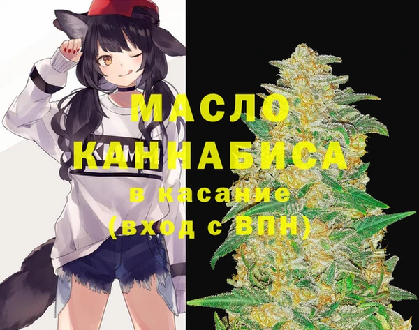 сатива Вяземский