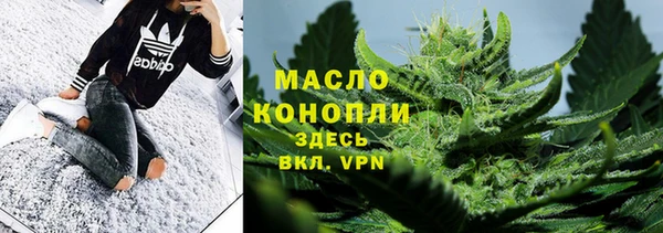 сатива Вяземский