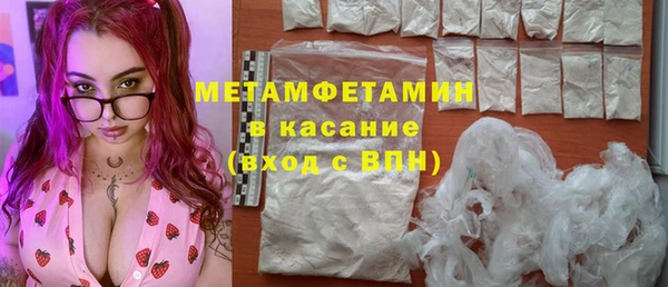 сатива Вяземский