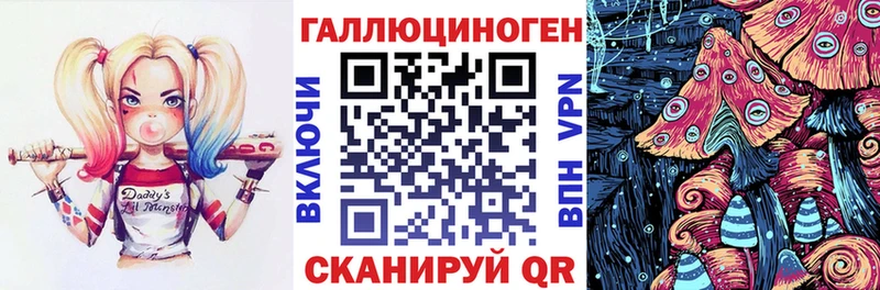 магазин продажи Иваново Псилоцибиновые грибы мухоморы
